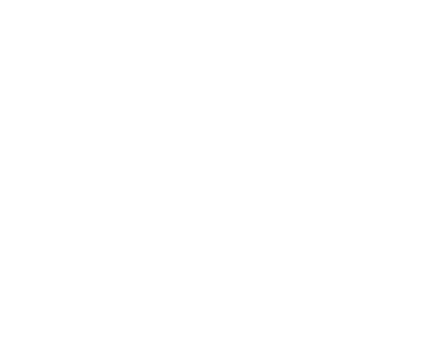 The Leaf Network