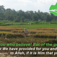 Eat of the Good Things Launched!